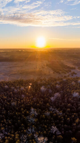 Forest HDR Sunset